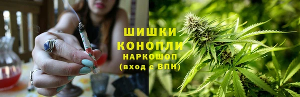 каннабис Верея